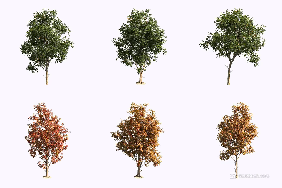 Arbor Trees Featuring Green Red and Orange Foliage in Different Varieties 3d model