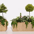 Decorative Potted Plants Arrangement in Wooden Planters with Trees Shrubs and Vines