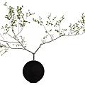 Bonsai Potted Plant In Black Spherical Pots With Slender Branches And Small Green Leaves