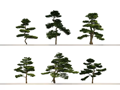 Different Shaped Arbor Trees with Varied Branch Patterns and Lush Green Foliage 3d model