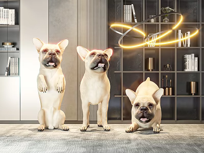 Three French Bulldogs in Modern Interior with Bookshelves and Circular Lighting 3d model