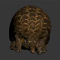 Brown Armored Pangolin With Shiny Scales On Dark Reflective Surface 3d model