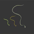 Three Golden Snakes With Curved Shiny Bodies On White Background
