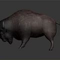 Realistic Bison With Purple Brown Rough Textured Skin And Curved Horns