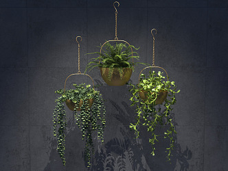 Modern hanging basket potted plant 3d model