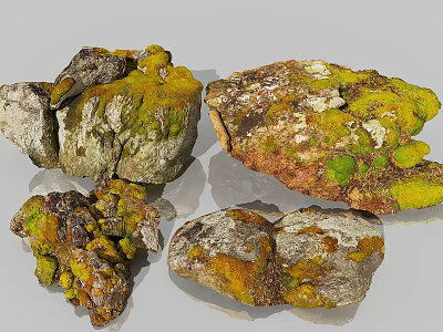 Natural Stone and Wood Decorative Pieces With Mossy Texture and Earthy Charm 3d model