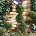 Living Green Wall With Diverse Plants Colorful Flowers Pebble Ground And Wooden Backdrop
