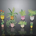 Colorful Potted House Plants With Various Leaf Shapes And Decorative Pots
