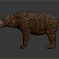 Realistic 3D Model of Brown Bear With Detailed Fur and Standing Pose