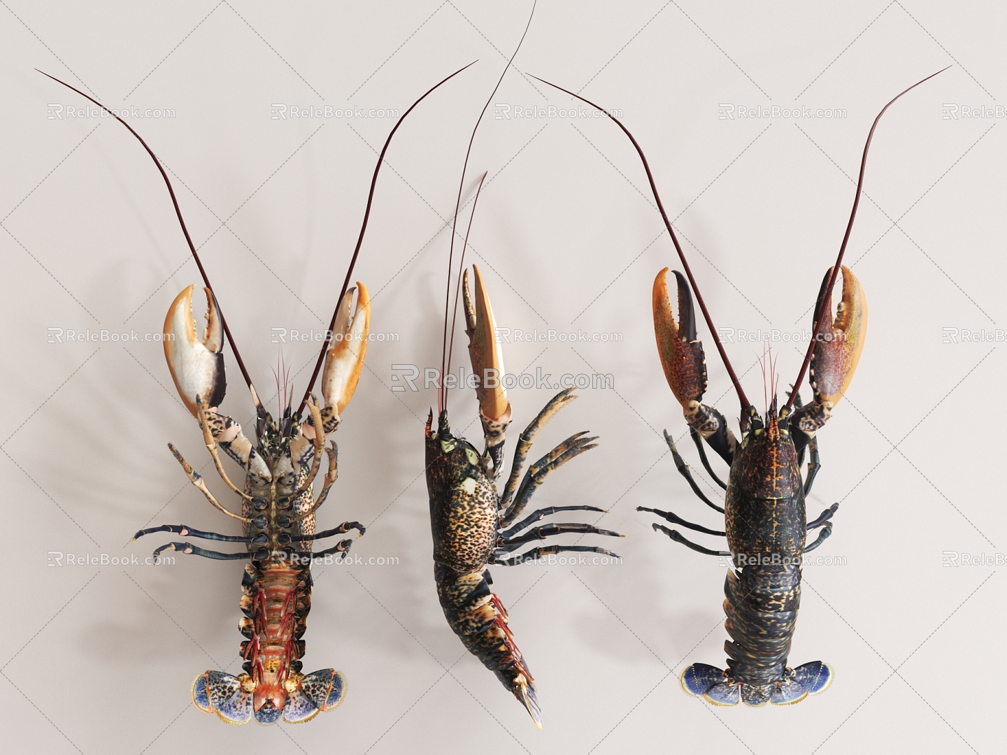 Modern Lobster Australian Lobster 3d model