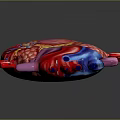 Anatomically Detailed 3D Rendered Human Heart Model With Colorful Vascular Structures