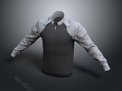 Gray And Black Long Sleeve Half Zip Color Block Casual Top For Daily Wear 3d model