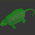 Turtle Cartoon Turtle Snapping Turtle Chickbill Turtle Reptile Cold Blooded Animal Reptile Class 3d model