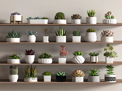 Diverse Bonsai and Potted Plants on Multi Layered Wooden Shelves with Various Ceramic Pots 3d model