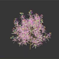 Ornamental Plant With Green Leaves And White Small Flowers In Dark Background