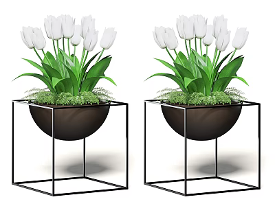 Two Potted Plants With White Flowers And Green Leaves In Black Pots On Metal Stands 3d model