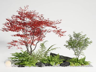 Vibrant Red Maple Arbor With Green Shrubs Ferns Stones And White Pebbles 3d model