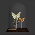 Decorative Ornament Set with Glass Dome and Colorful Butterflies on Wooden Base