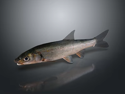 Silver Decorative Fish Figurine For Home Living Room Decoration 3d model