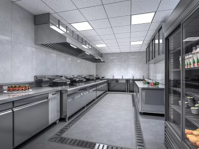 Commercial Kitchen With Stainless Steel Workstations Refrigeration Units Food Storage And Ventilation System 3d model