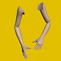 Detailed White Mannequin Arms With Posed Hands On Gray Studio Background 3d model