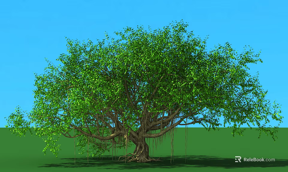 Lush Green Arbor With Thick Trunk Aerial Roots Blue Sky And Green Grass Ground 3d model 