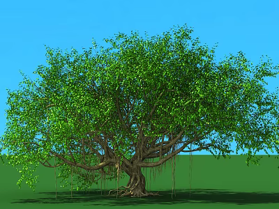 Lush Green Arbor With Thick Trunk Aerial Roots Blue Sky And Green Grass Ground 3d model