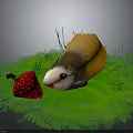 Cute Yellow And White Guinea Pig Sniffing Fresh Strawberry On Green Grass