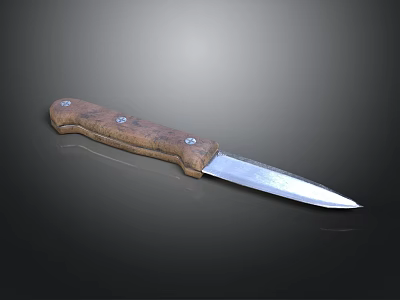 Riveted Kitchen Knife With Wooden Handle And Sharp Metal Blade 3d model
