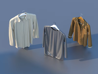 Three Different Clothes on Hangers White Shirt Gray Long Sleeve Top and Brown Striped Shirt 3d model