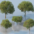 Various Arbor Trees With Different Shapes Lush Green Foliage And Reflections 3d model