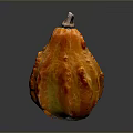 Organic Fresh Ripe Orange Pumpkin with Textured Skin and Green Stem