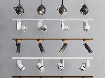 Modern Downlights And Spotlights With Various Styles And Track Mounted Designs 3d model