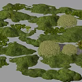 Natural Microtopography Design Featuring Green Grass Bushes Small Plants And Stones