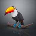 Vibrant Toucan with Yellow Orange Beak Black Body and White Throat Perched on Wooden Branch