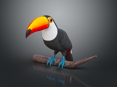 Bird toucan togo toucan big toucan birds bird animals game animals 3d model