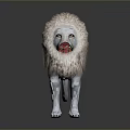 Realistic White Lion Standing with Open Mouth and Fluffy Mane on Dark Reflective Surface