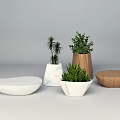 Elegant Tea Set With Marble And Wooden Accents Decorated By Small Green Plants