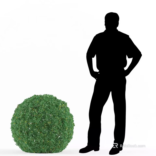 Round Green Decorative Garden Bush With Silhouette Person Standing Beside 3d model 