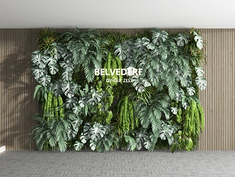 Modern Plant Wall 3d model