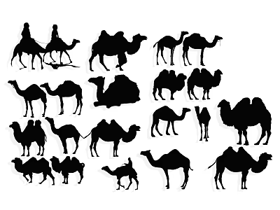 Collection of Camel Silhouettes in Multiple Poses and Riding Positions 3d model