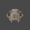 Detailed Animal Skull with Visible Teeth and Eye Sockets on Dark Background