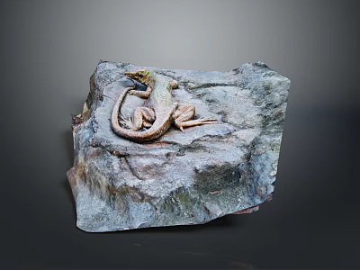 Reptile Lizard Resting on Natural Rock Surface with Detailed Texture in Habitat 3d model
