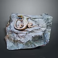 Reptile Lizard Resting on Natural Rock Surface with Detailed Texture in Habitat