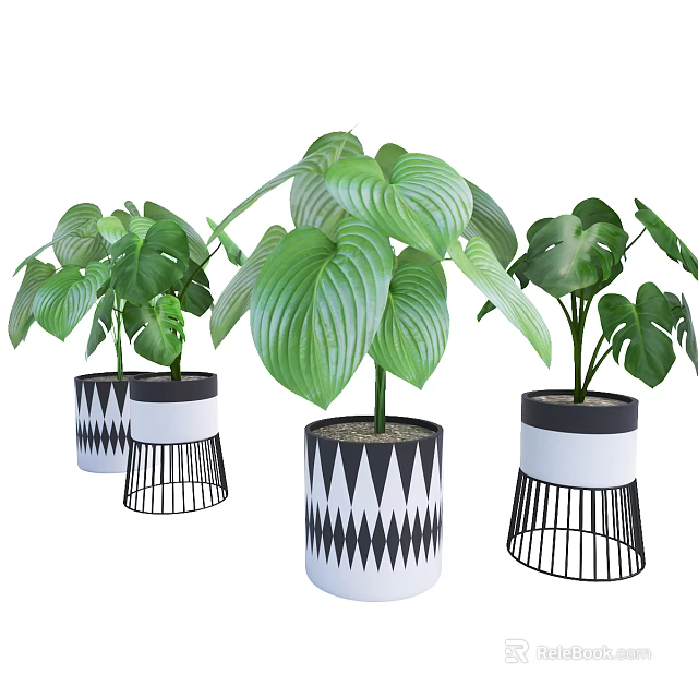 Stylish Potted Plants with Green Leaves in Black White Geometric Pattern Pots and Metal Stands 3d model 