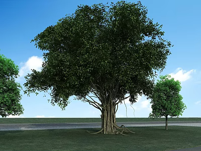 Arbor With Lush Foliage Thick Trunk Exposed Roots Green Grass Small Trees And Blue Sky 3d model