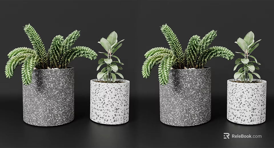 Potted Bonsai Plants With Gray Textured Speckled Pots And Lush Green Leaves 3d model 