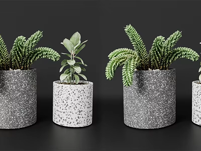 Potted Bonsai Plants With Gray Textured Speckled Pots And Lush Green Leaves 3d model