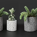 Potted Bonsai Plants With Gray Textured Speckled Pots And Lush Green Leaves