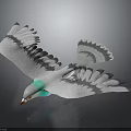 Flying Bird with Gray Feathers Green Neck Orange Beak and Spread Wings